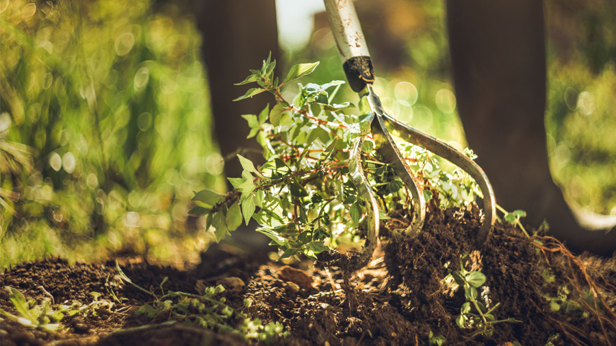 Griffe de jardin Xact Fiskars Griffe de jardin Xact Fiskars